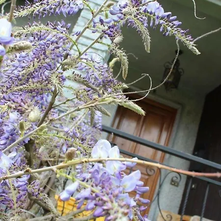 Semesterbostad La Casa Di Titti E Remo *