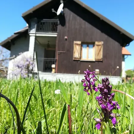 La Casa Di Titti E Remo Sassello